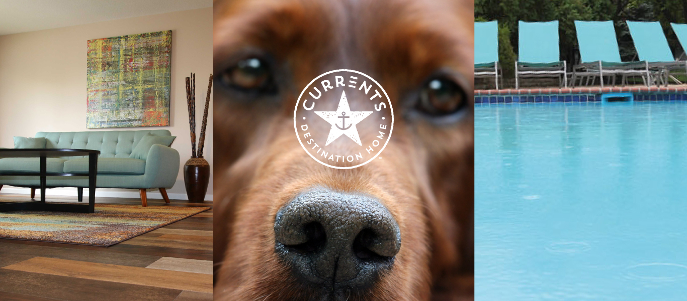 Currents pet friendly apartments